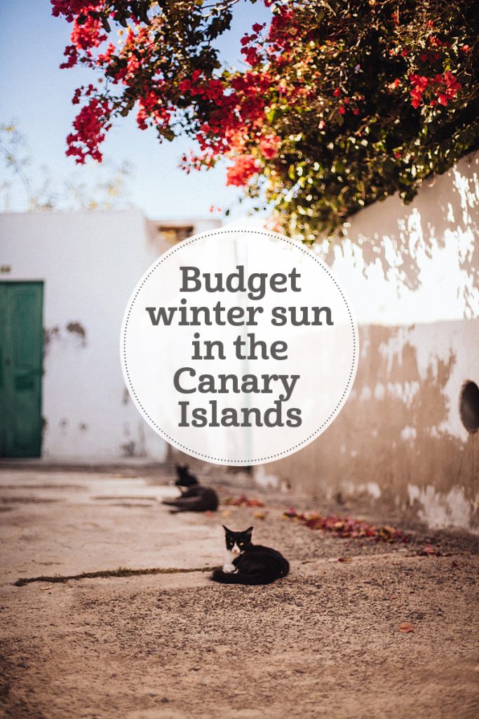 The i-escape blog / Four canary islands for budget winter sun