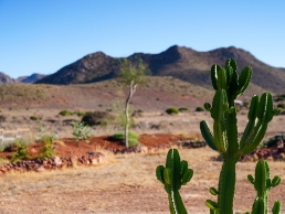the i-escape blog / The best places in Europe for winter sun / little agave, cabo de gata