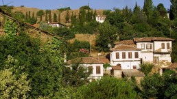 Terrace Houses, Sirince